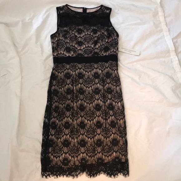 Maggy London Petites Floral Lace Sheath Dress - Picture 5 of 7